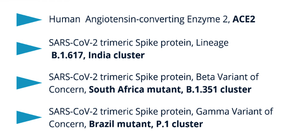 Daresbury Proteins - 4 new proteins banner